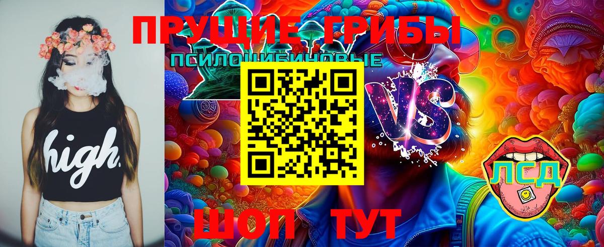 Галлюциногенные грибы прущие грибы  Вход с VPN  Майский 